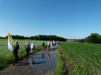 Pielgrzymka do Bujakowa 2022